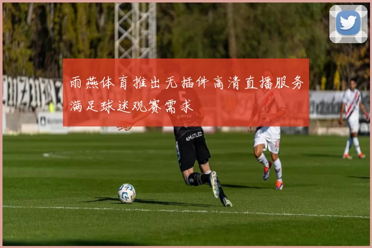 雨燕体育推出无插件高清直播服务满足球迷观赛需求